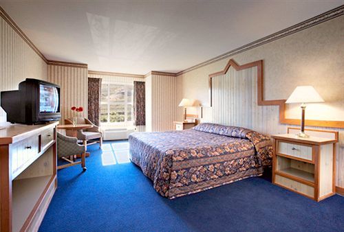 Horseshu Hotel & Casino Jackpot Chambre photo